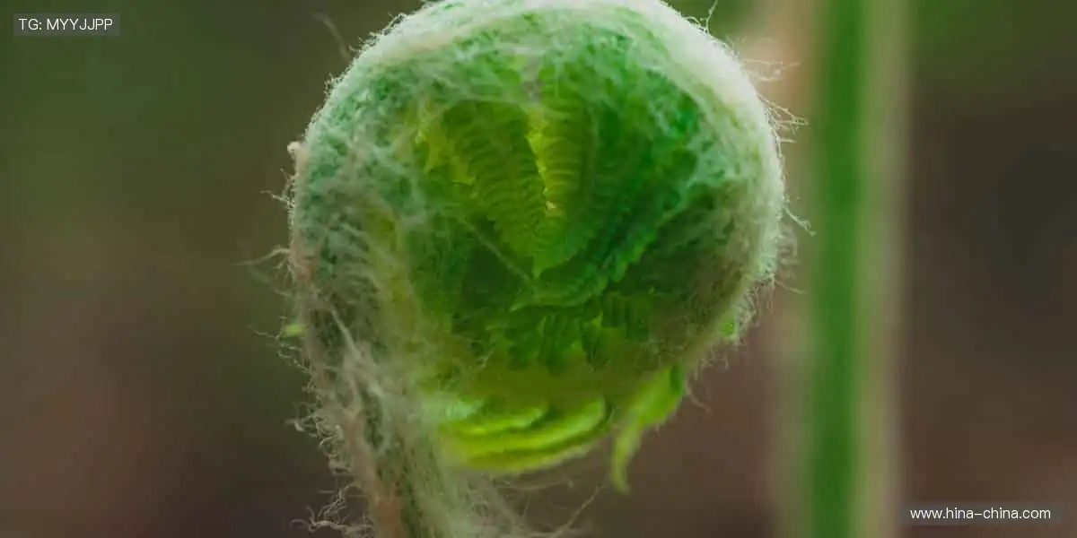 📢一键订阅,精彩赛事永不缺席,热血与你同在!❤️